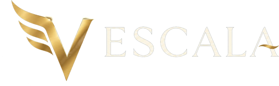Logo Vize Escala